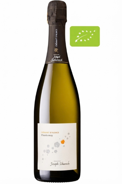Crémant d’Alsace Chardonnay by Joseph Scharsch (ÖKO) 12,5% 75cl